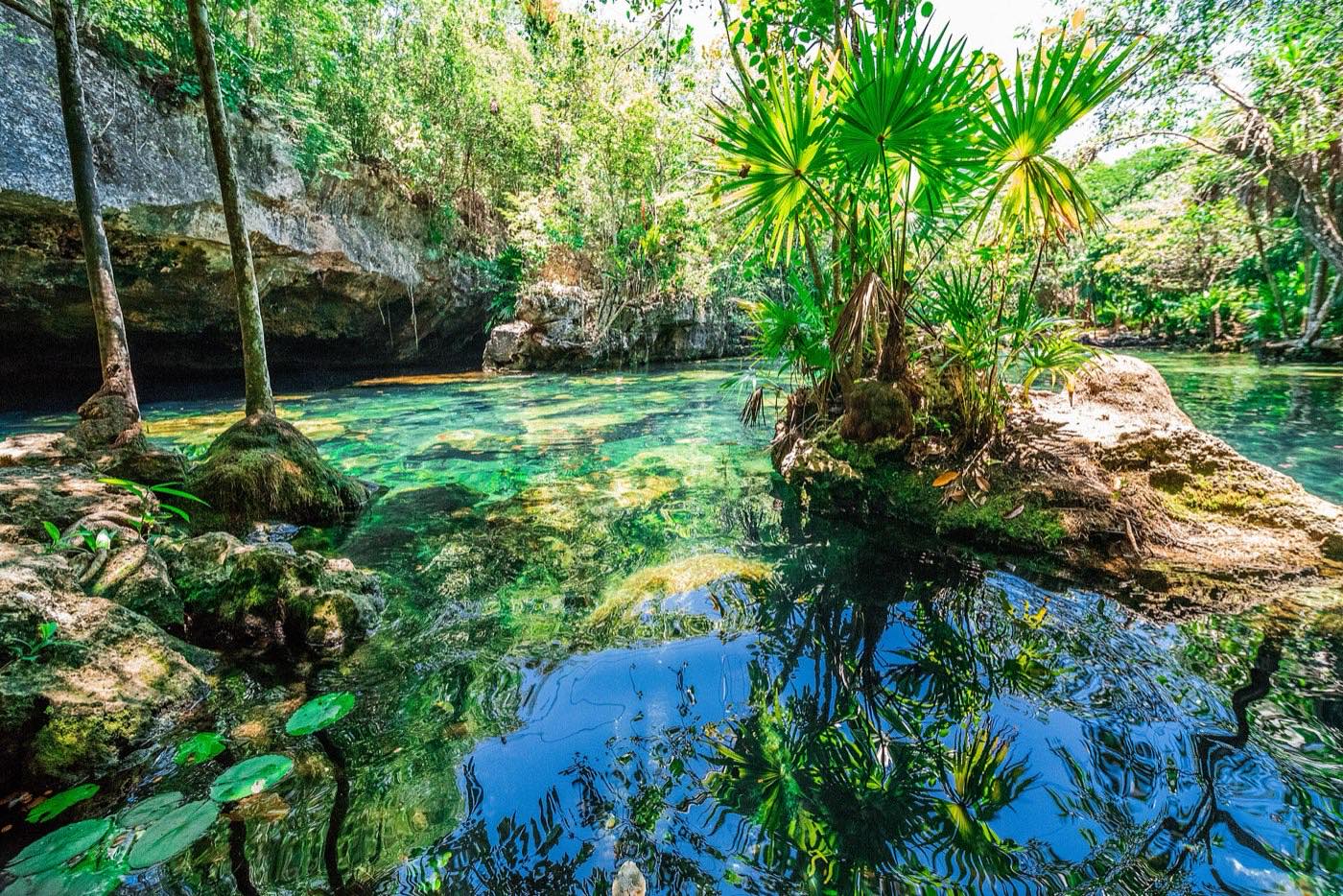 Cenote Azul: zonas bajas entre rocas y palmas, y pozas profundas