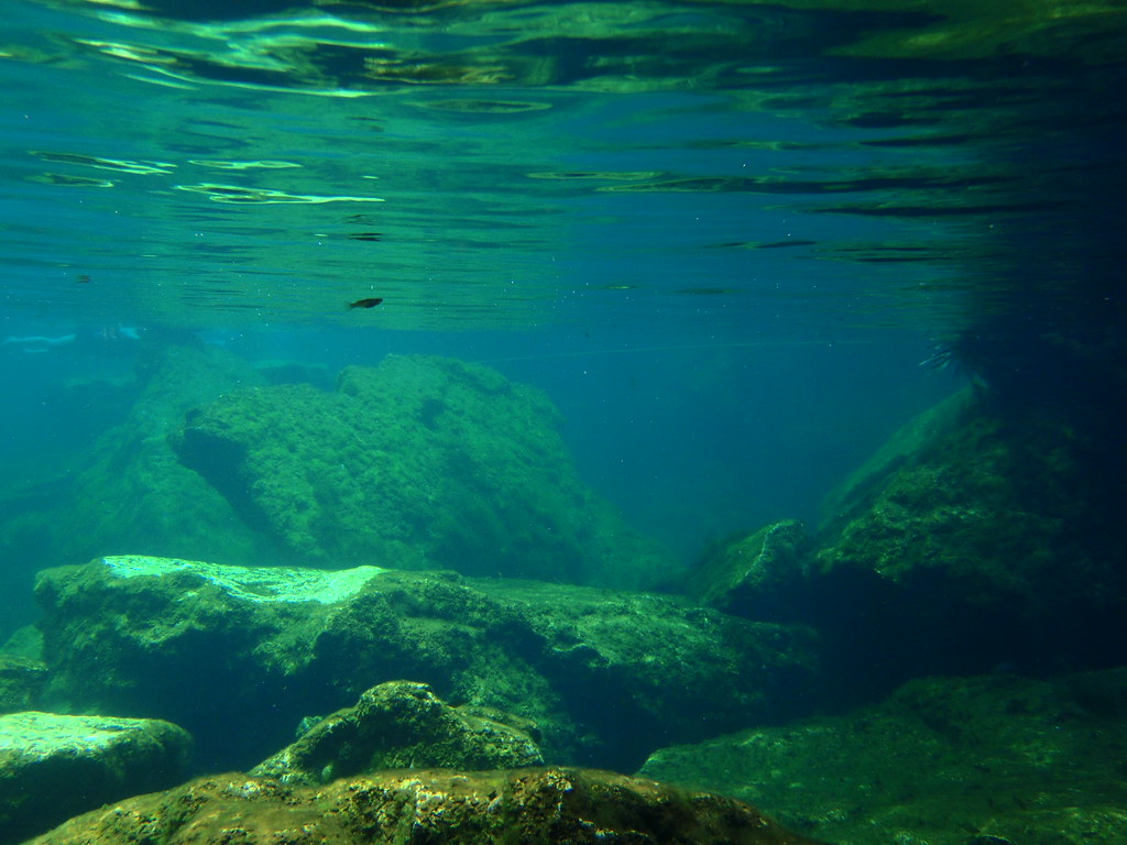 Bajo el agua en Jardín del Edén: rocas, peces y mucha profundidad para el snorkel